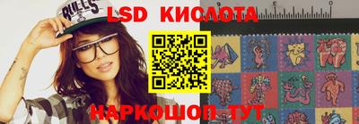 шишки Лесной