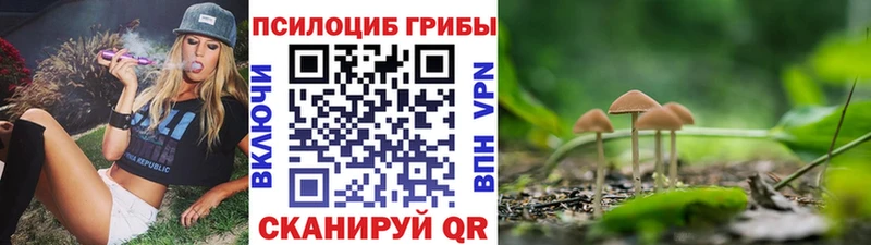 МЕГА ONION  Апшеронск  Псилоцибиновые грибы прущие грибы 