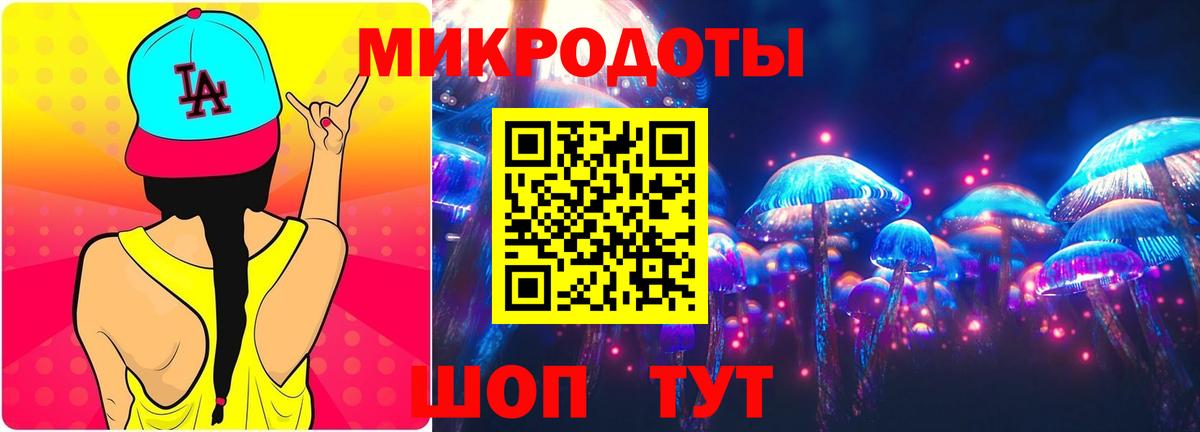 Псилоцибиновые грибы Psilocybine cubensis Апшеронск
